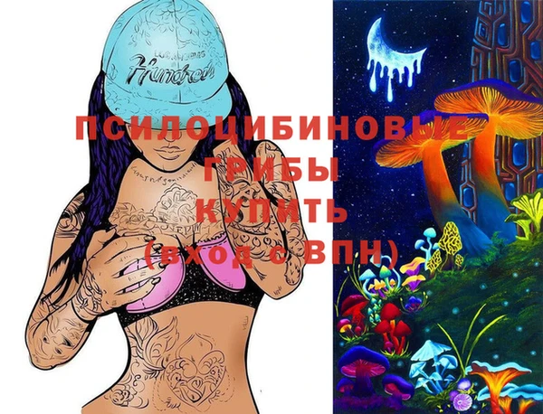 spice Баксан