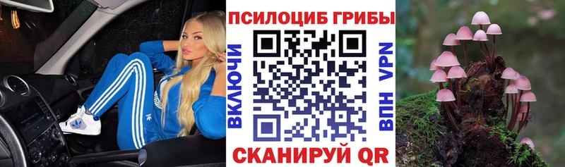 Галлюциногенные грибы GOLDEN TEACHER  Хилок 